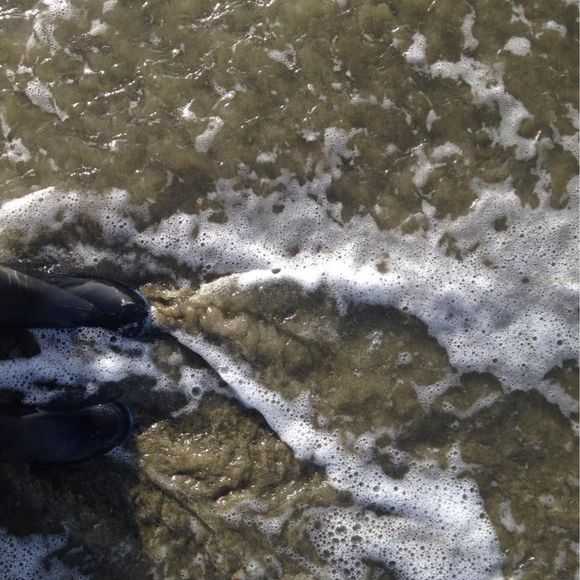 Meet your Posher, Kimothy - Picture 1 of 1